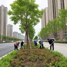 2026世界杯官网 松滋城市道路绿化养护成本